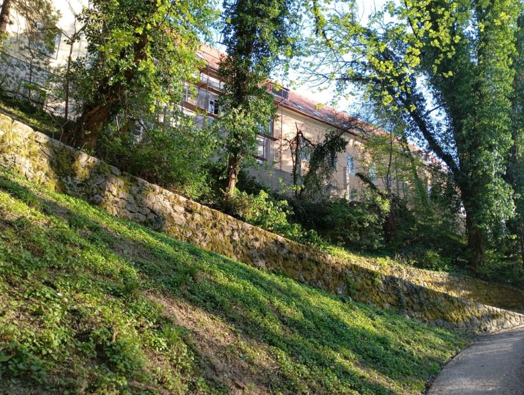 Dubravkin put, pogeld na Opatičku